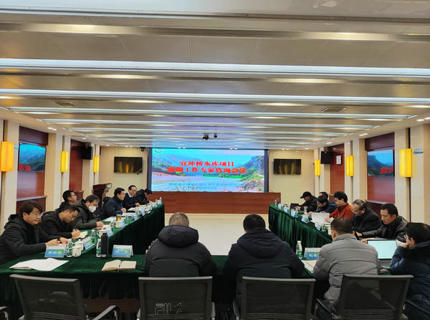 公司召开宜冲桥水库项目前期工作专家咨询会议