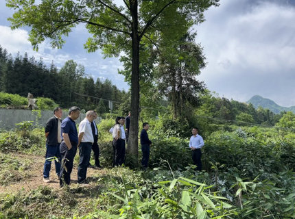 徐磊带队调研桑植县芦溪村乡村振兴工作