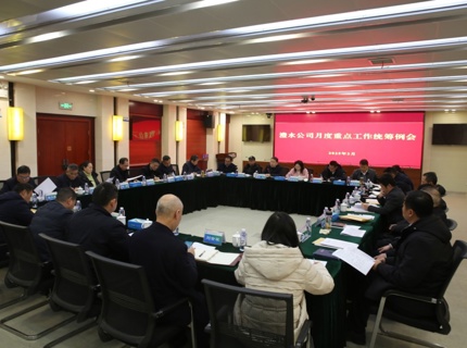 公司召开2025年2月份重点工作统筹例会
