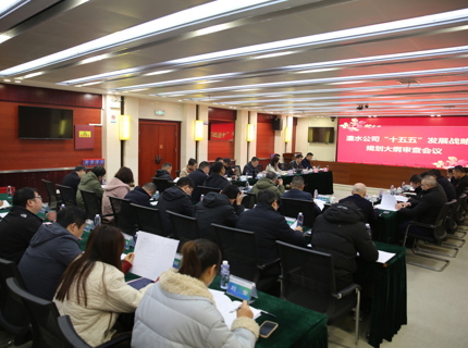 澧水公司召开“十五五”发展战略规划大纲审查会