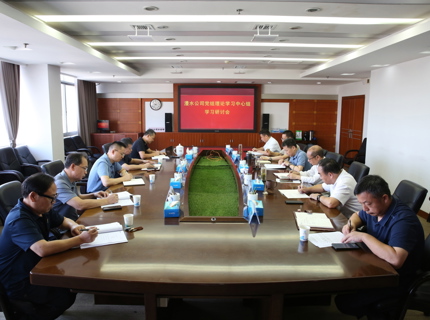 公司党组理论学习中心组专题学习研讨“三大精神”和总体国家安全观