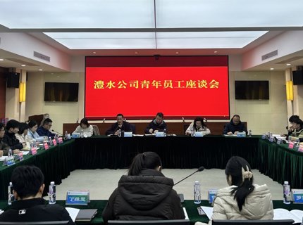 公司召开团委换届选举暨青年员工座谈会
