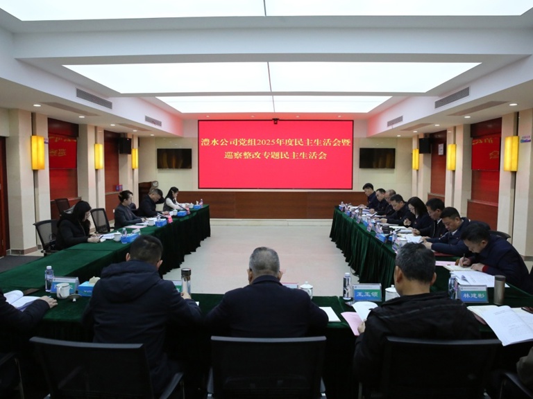 任红梅指导澧水公司党组2025年度民主生活会暨巡察整改专题民主生活会