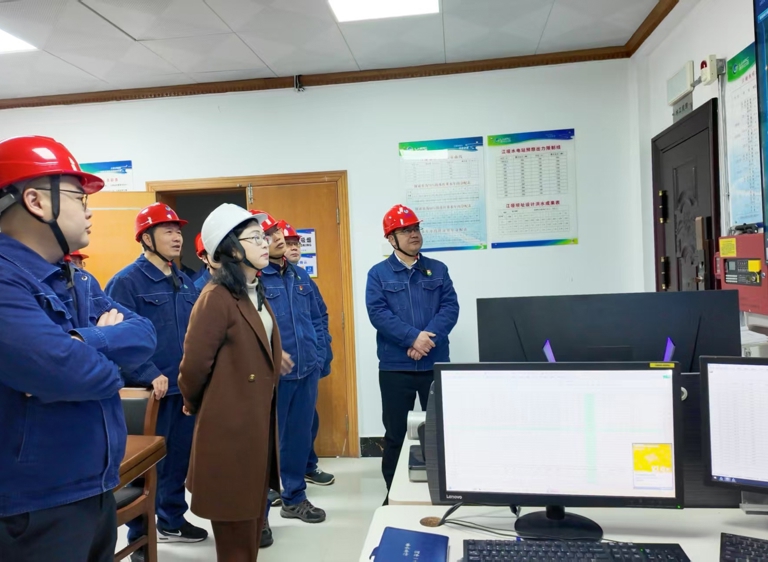 陈印辉到江垭水电站开展汛前安全检查